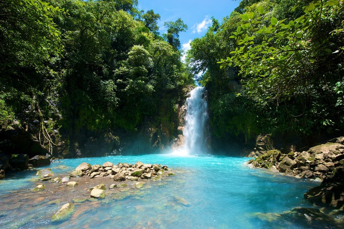 Tenorio Waterfall, Costa Rica Wall Mural