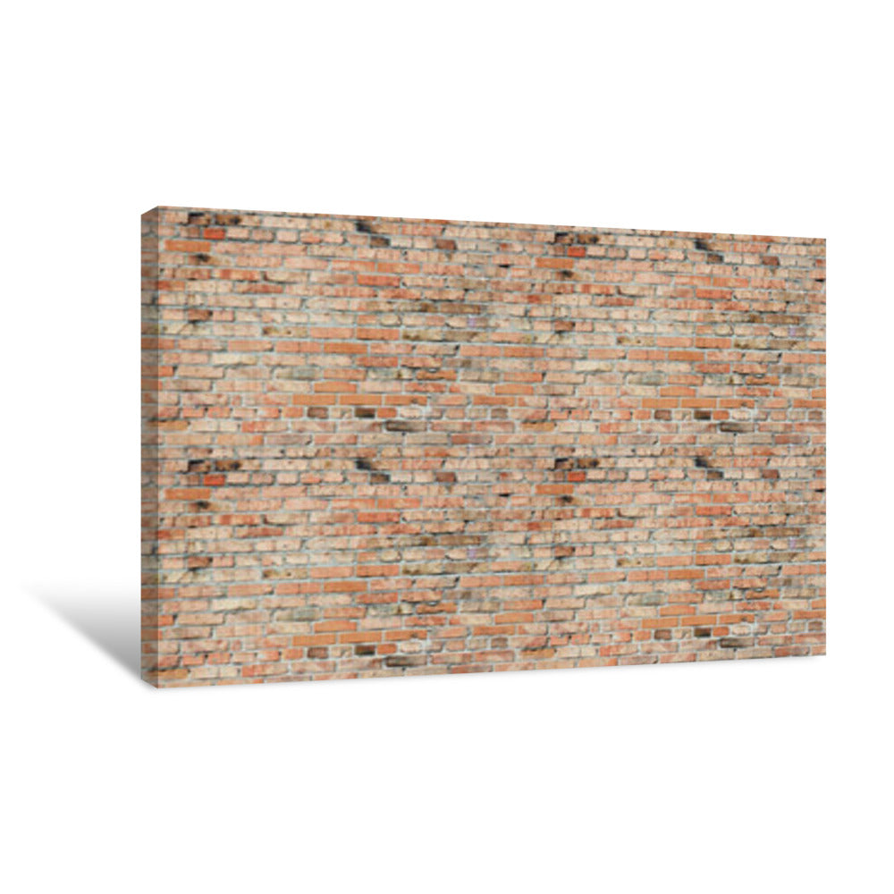 Brick Wall Canvas Print