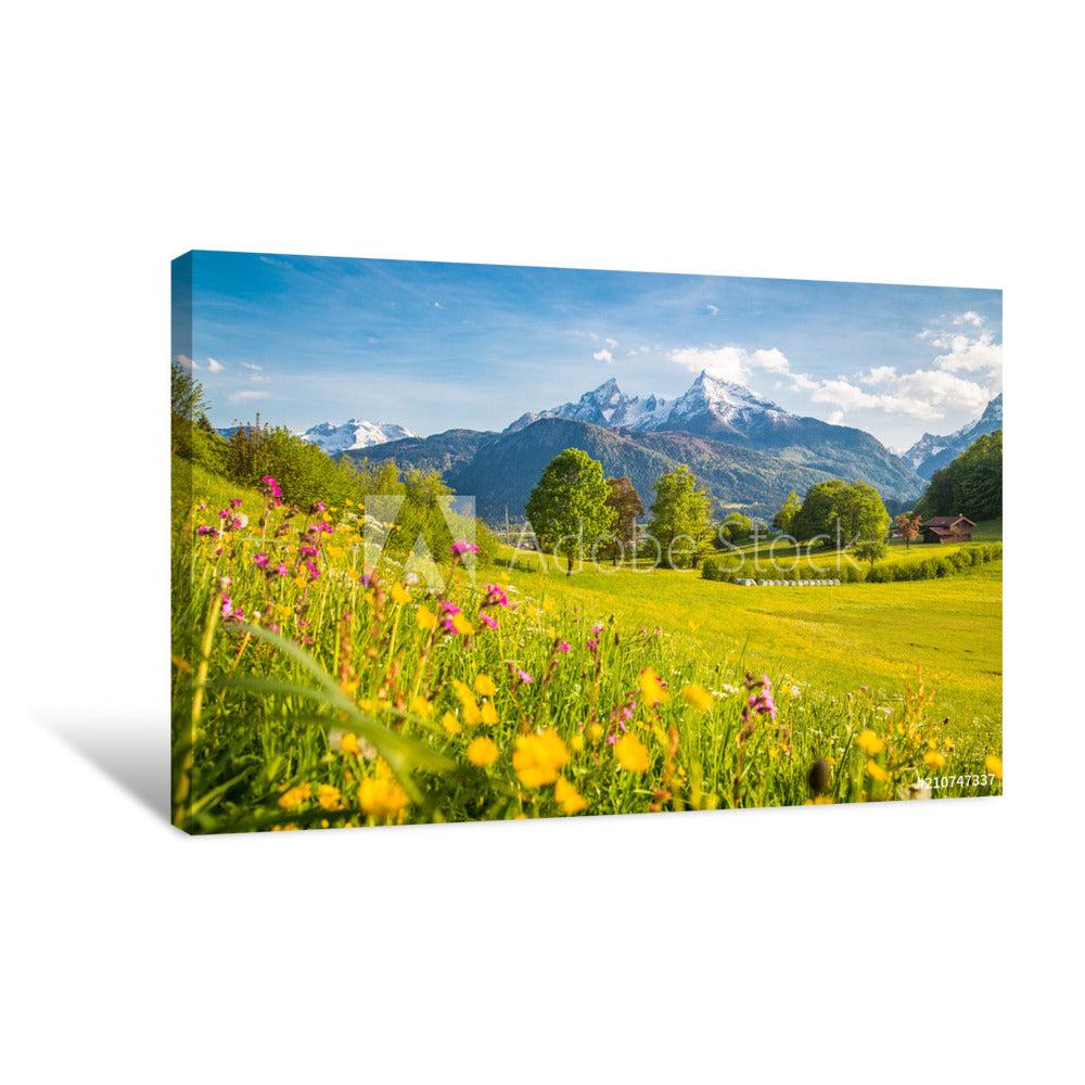 Springti Idyllic Mountain Scenery In The Alps With Blooming Meadows In Springti