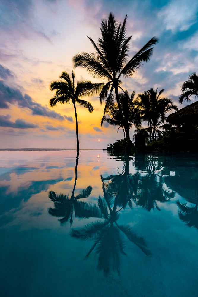 Palm Tree Reflection Wall Mural