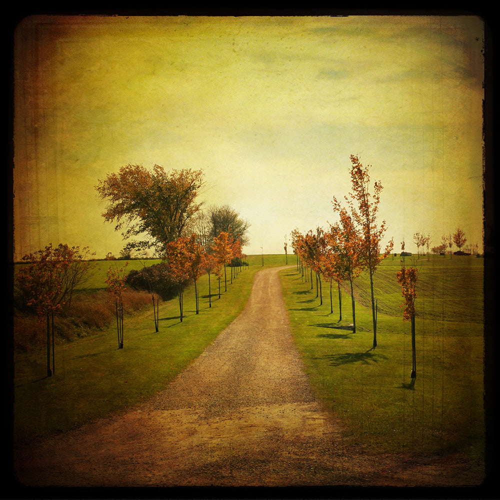 The Unknown Path Wall Mural